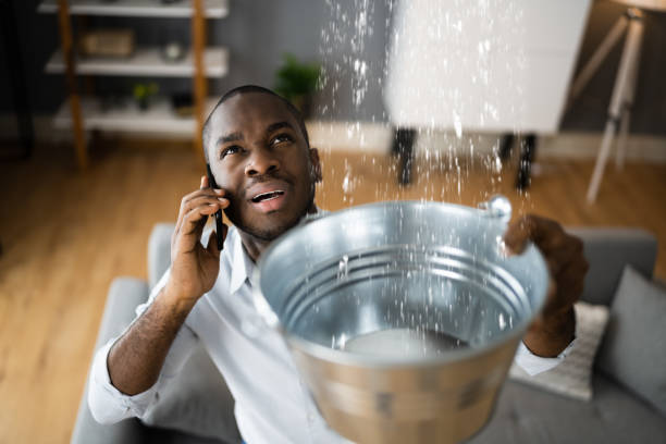 Best Professional water damage repair  in Manhasset Hills, NY