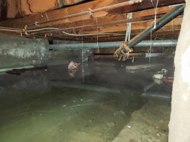 Best Water damage restoration near me  in Manhasset Hills, NY