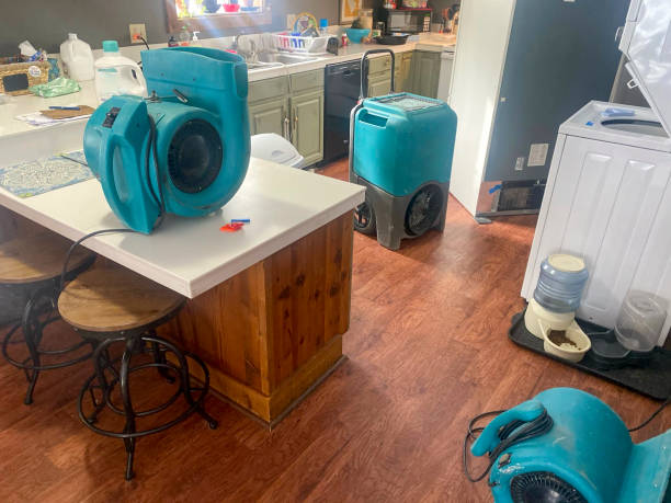Manhasset Hills, NY Water damage restoration Company