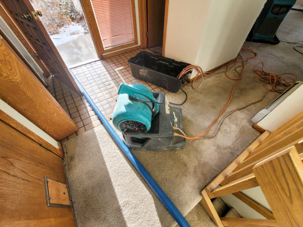 Best Flood damage cleanup  in Manhasset Hills, NY