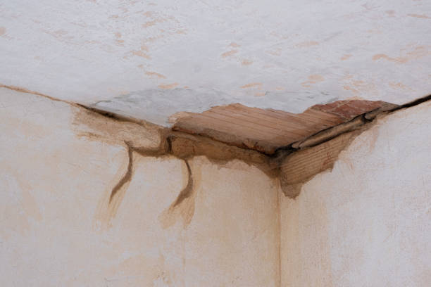 Best Mold removal after water damage  in Manhasset Hills, NY
