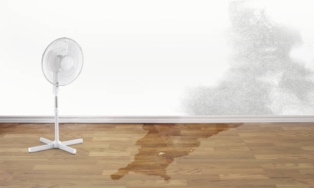 Manhasset Hills, NY Water damage restoration Pros