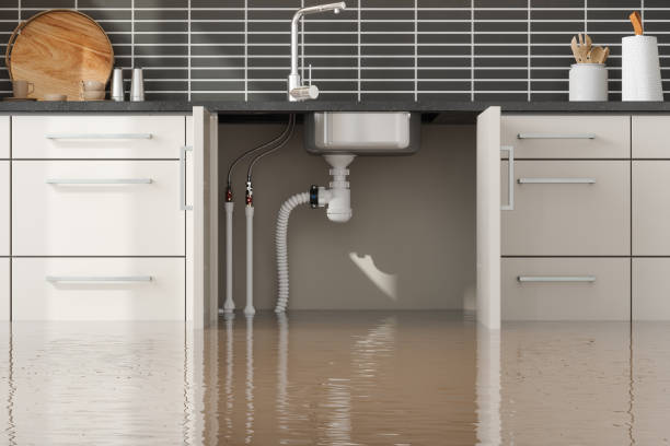 Best Water damage restoration near me  in Manhasset Hills, NY