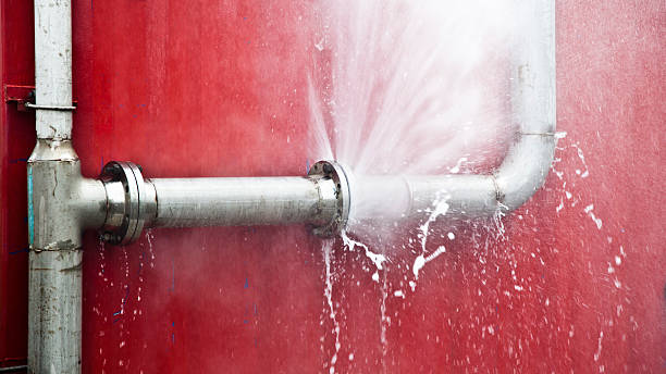 Best Sewage cleanup and water damage restoration  in Manhasset Hills, NY