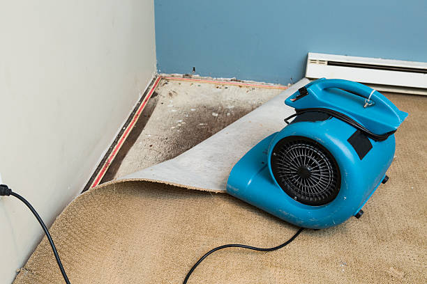 Best Mold removal after water damage  in Manhasset Hills, NY